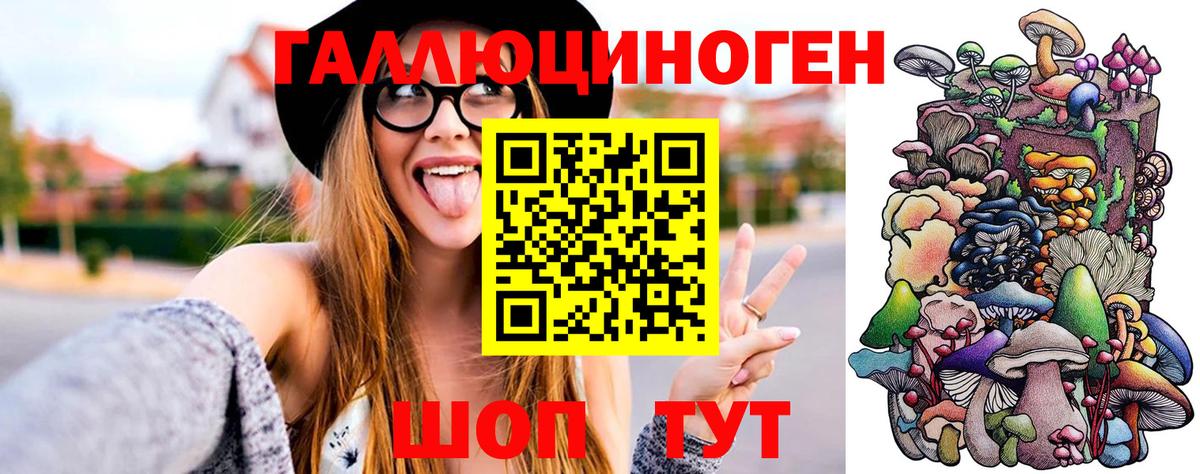 Псилоцибиновые грибы Cubensis  Вход с VPN  Черемхово 